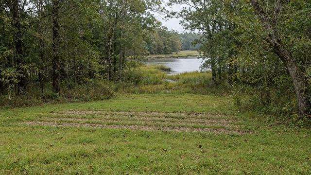 Residential septic field and wooded Critical Area lot near a Talbot tidal creek