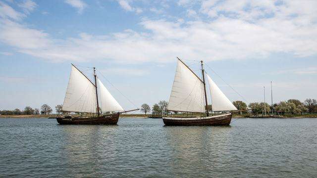 Skipjacks under sail off Long Wharf on the Choptank River