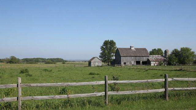 Pasture and farm buildings on Maryland’s Eastern Shore under a clear sky