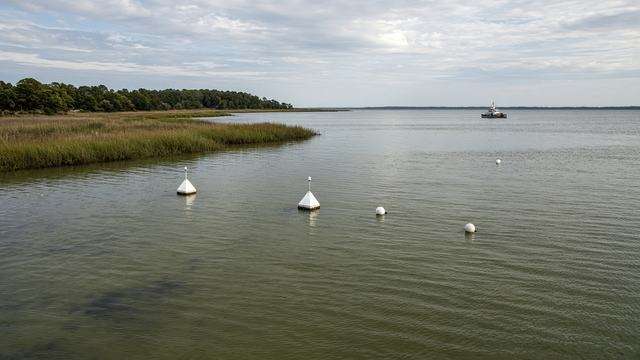 Talbot County cove with SAV zone markers and empty shallow water