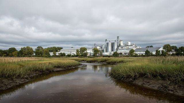 Peggy Branch near the Perdue AgriBusiness plant on Zion Church Road in Salisbury