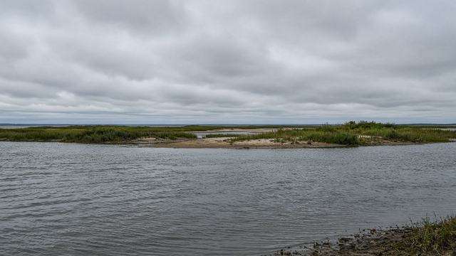 Chesapeake Bay shoreline near Tilghman Island looking toward restored island habitat