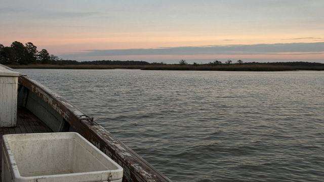 Chesapeake working water at evening, empty of a harvest cooler